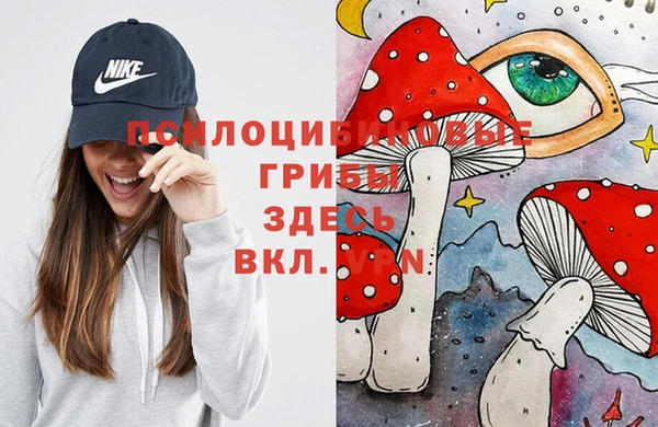 бутик Бородино