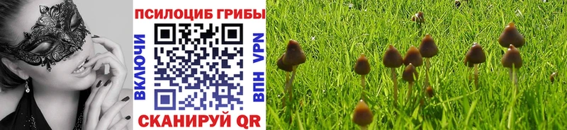 Галлюциногенные грибы Magic Shrooms  KRAKEN зеркало  Константиновск  где можно купить наркотик 