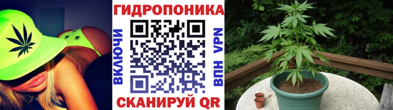 где купить наркоту  Константиновск  Каннабис SATIVA & INDICA 